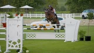 Show Jumping Waitemata Giltrap Audi Premier Jumping Festival