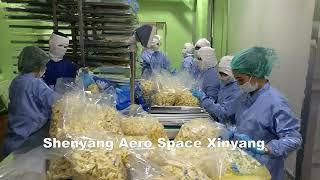 How to produce freeze dried durian snacks by China freeze dryer?