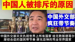 翟山鹰：中国人被全世界排斥的原因丨中国外交部疯狂带节奏