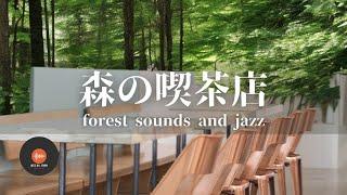 Ambient sounds + JAZZ Gentle Forest sounds Relaxing work/study CAFE MUSIC - BGM for work