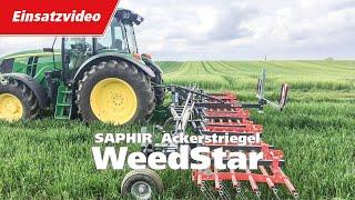 SAPHIR Ackerstriegel WeedStar