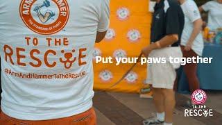 Put Your Paws Together for Pets! - Arm & Hammer™ to the Rescue