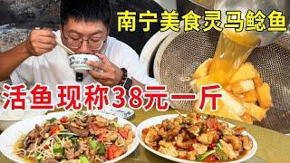 南宁特色美食灵马鲶鱼，活鱼现称38块一斤，据说是广西老司机的美好回忆#麦总去哪吃