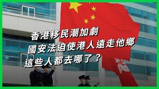 香港移民潮加劇，國安法迫使港人遠走他鄉，這些人都去哪了？【TODAY 看世界】