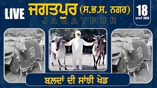 [LIVE] JAGATPUR / ਜਗਤਪੁਰ (S. B. S. Nagar) OX RACES / ਬਲਦਾਂ ਦੀ ਸਾਂਝੀ ਖੇਡ 18 FEB 2025 | Full HD