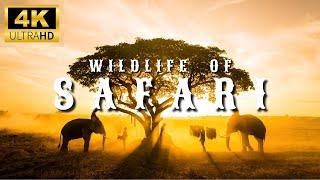 African Safari 4K - Wonderful Wildlife of African Savanna | Terra Vibes Film