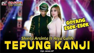 Shinta Arsinta Feat Arya Galih - Tepung Kanji | Dangdut (Official Music Video)