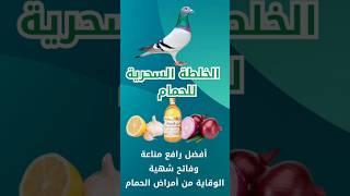 خلطة سحرية للحمام | مضاد حيوي طبيعي | رافع مناعة طبيعي علاج ووقاية من معظم  امراض الحمام