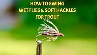 Swinging Wet Flies & Soft Hackle Flies for Trout | How To