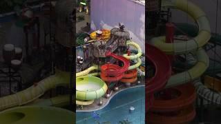 Jungle Splash  Tropical Islands 