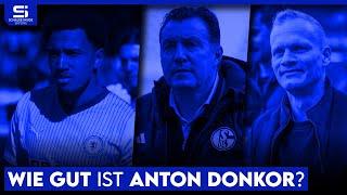 Holt Schalke Anton Donkor? Verstärkung für die linke Seite oder unnötiger Neuzugang? | S04 Analyse