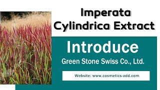 Supply High Quality And Low Price Imperata Cylindrica Extract