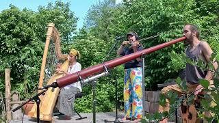 We Love Playing Organic Techno: Didgeridoo, Harp, and Violin Jam in the Garden