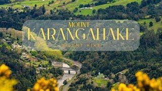 Silent Hike Serenity: Exploring the Trails of Mount Karangahake New Zealand