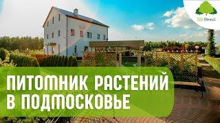 Питомник растений в Подмосковье. Профессионалы ландшафтного дизайна к вашим услугам