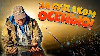 Ловля ХИЩНИКА или ОСЕННИЙ ТРОЛЛИНГ в октябре! #рыбалка #троллинг #ловляхищника