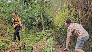 Technique for making pig cages using bamboo for a 21-year-old single mother | La Thi Lan