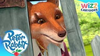 @OfficialPeterRabbit - Why Peter Should Never Trust Mr. Tod? | Action-Packed Adventures | Wizz Cartoons