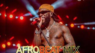 Afrobeats Video Mix 2024 ~Davido, Tyla, Rema, Wizkid, Asake ,Omah Lay & Dj DonnieMax