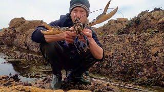 Big Foraged Lobster & Abalone - Catch Clean Cook , Coastal Foraging Seafood