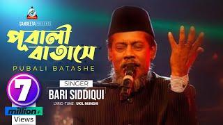 Pubali Batashe | Bari Siddiqui | পূবালী বাতাসে | বারী সিদ্দিকী | Music Video