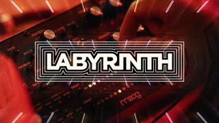 Enter the Moog Labyrinth