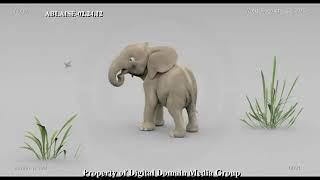 Chaz Williams | Various Tembo Tests | Animstation