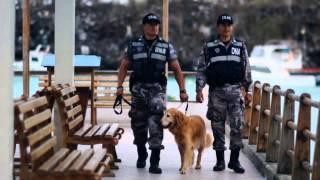 Centro Regional de Adiestramiento Canino 2013, Imagen 7 Producciones