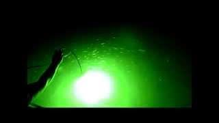 The Green Blob Underwater LED FIshing Light in Action!