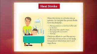 Hot Weather Safety: Signs of Heat Exhaustion & Heat Stroke