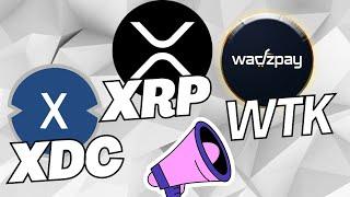 WADZPAY CHART + XRP & XDC