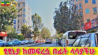 የትግራይ ተወላጆች ሠፈር ደማቋ ፂፂኒያ | Tsitsinia Addis Ababa  Walking tour 2024