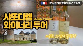 [보르도 와인여행]샤또 디켐 와이너리 투어/현지가격/세상에서 가장 비싼 스위트 와인/소테른 귀부와인 Château d'Yquem