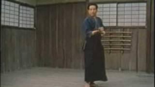 Tenshin Shōden Katori Shintō-ryū #2 - Risuke Otake