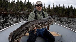 White River Air - Fly Fishing for Northern Pike