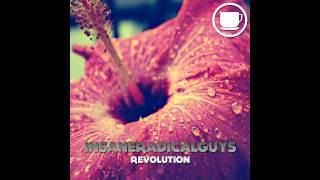 InsaneRadicalGuys - Revolution