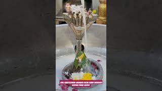 Shri Kubereshwar Mahadev from Kuber Bhandari Karnali Dham Gujrat on 17.04.2025#aarti #temple