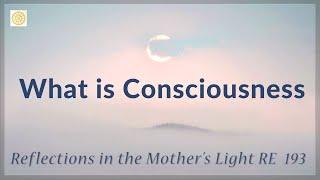 What is Consciousness  |  RE 193  |  Reflections by Dr Alok Pandey