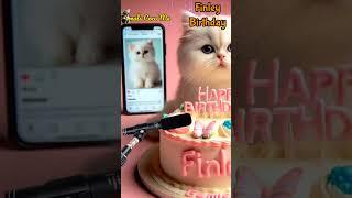 HAPPY BIRTHDAY FINLEY | HAPPY BIRTHDAY SONG WITH NAMES | Adorable Cute Cat   #happybirthday #cat