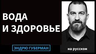 Оптимизация Качества Воды и Потребления для Здоровья | Подкаст Лаборатории Губермана на русском