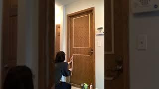 Flat Panel Door Makeover: How to Update a Flat Door in a Weekend #shorts