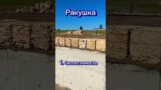 #стены #стройка #строительсводома #дача #ремонт  #ракушка #крым #строительство  #инженер