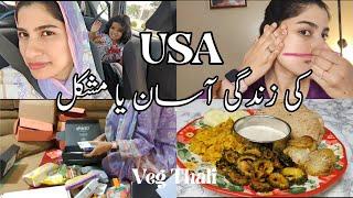 Pakistani Mom in America | housewife living experience #familyvlog