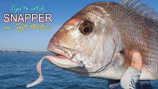How to catch Snapper on Soft Plastics !! ( helpful Tips & Techniques )