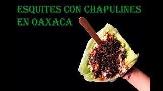 ESQUITES CON CHAPULINES EN OAXACA