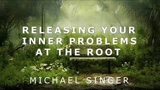 Michael Singer - Working at the Root to Release Your Inner Problems