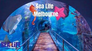 Sea life Melbourne Aquarium Tour | Top Melbourne Attractions |  2021 Australia