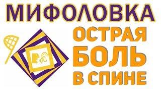 Боль в спине? Упражнения от боли в спине Бубновского снимут острую боль без лекарств!