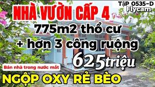 Tập 0535-D (đã bán) Ngộp oxy bán giá rẻ bèo nhà vườn cấp 4 + 3200m2 ruộng | Nhà vườn 365 Bình Chánh