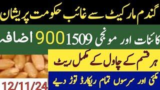 Gundam Rate New Munji rate|| Makki rates 2024 || CoTTon SarSon munji Till bajra jawar rates Today